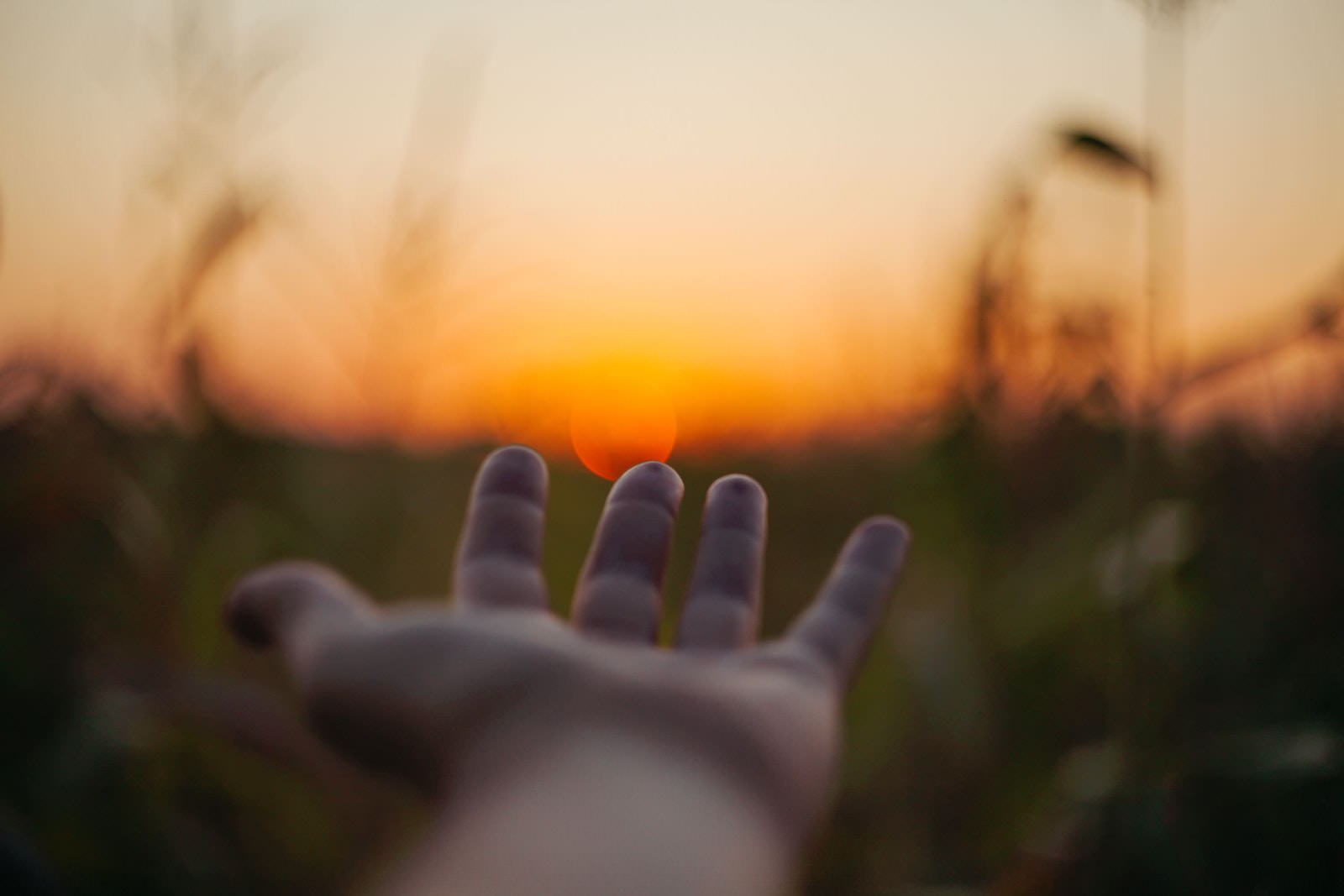 A photo of an open hand against a sunrise